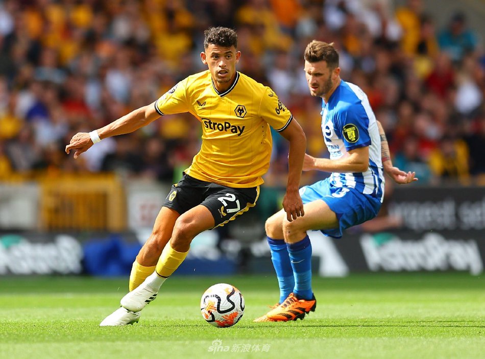 在足球的世 在足球的世